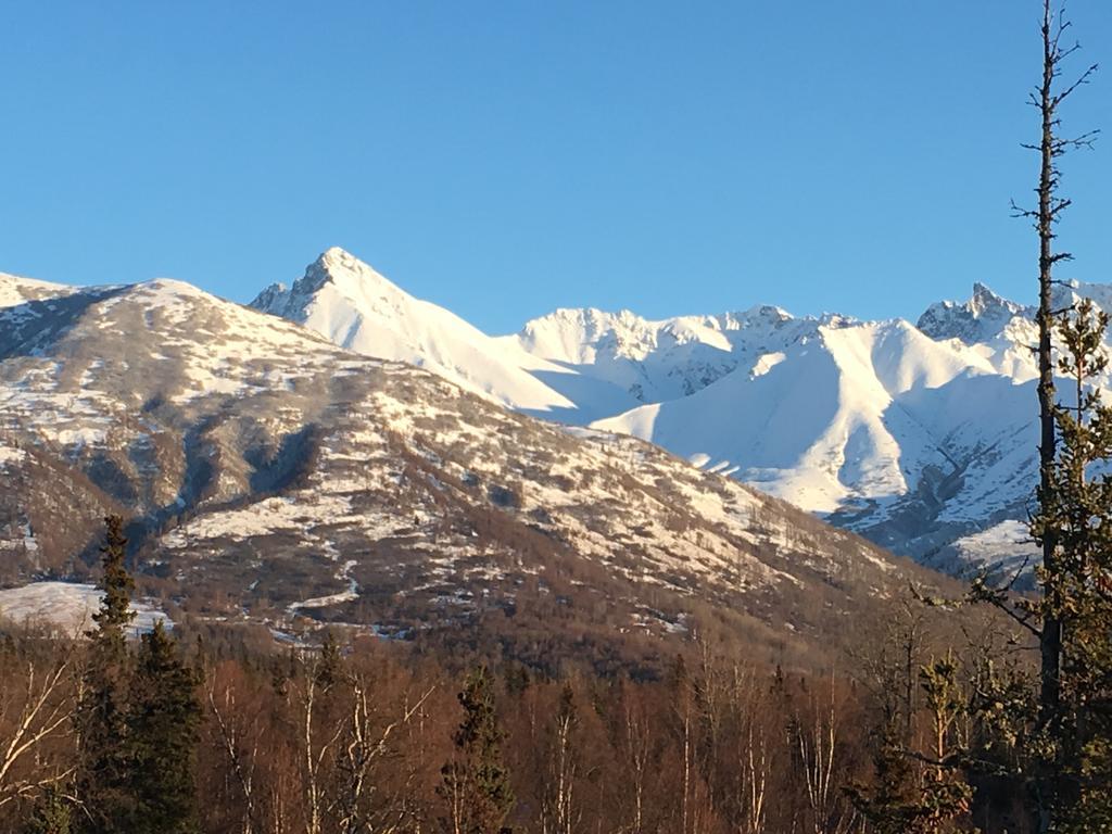 Alaska Knotty Pine B&B Palmer Exteriér fotografie